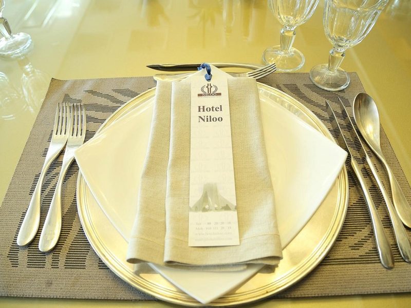 niloo hotel